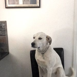 ⭐️Don’t be afraid to make an offer!Laundry Charts!